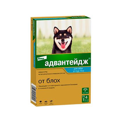 Как избавиться от блох в доме самостоятельно и быстро – 6 советов